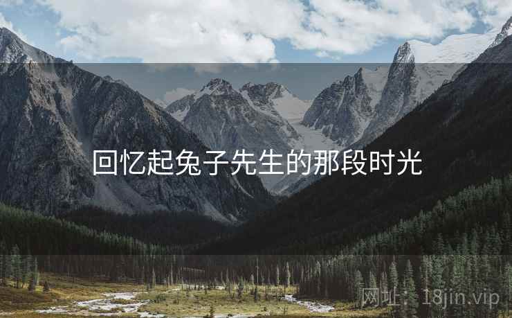 回忆起兔子先生的那段时光