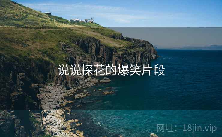 说说探花的爆笑片段