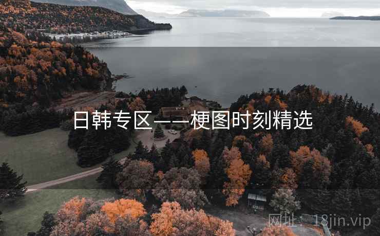 日韩专区——梗图时刻精选