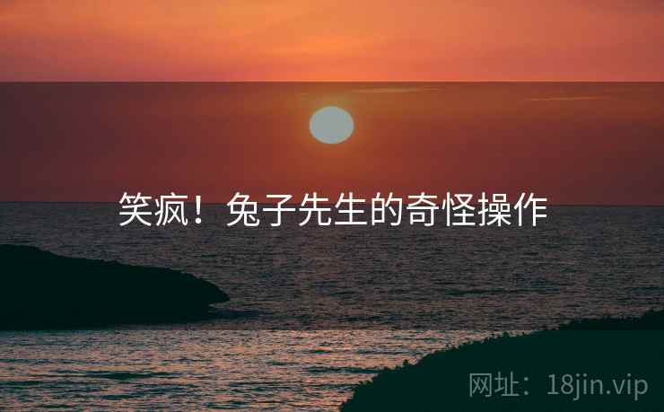 笑疯！兔子先生的奇怪操作