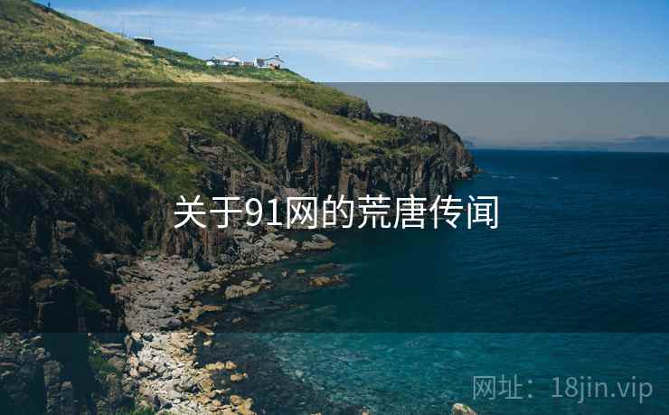 关于91网的荒唐传闻