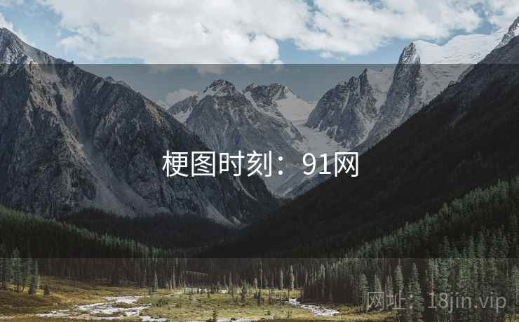 梗图时刻:91网