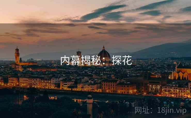 内幕揭秘：探花