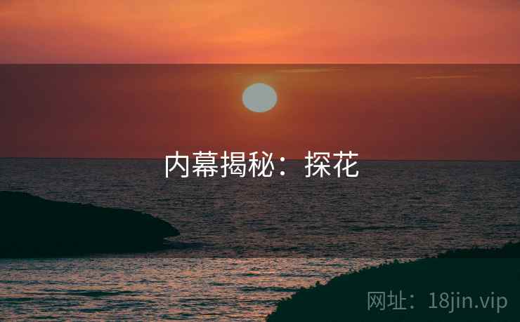 内幕揭秘:探花