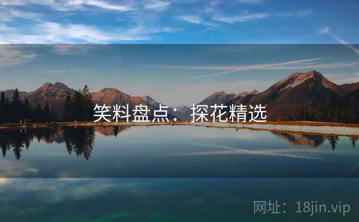 笑料盘点:探花精选